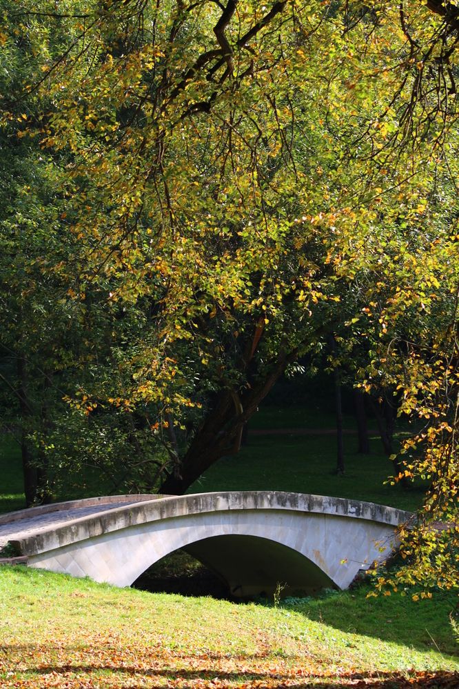 Photograph by Светлана Шуткова