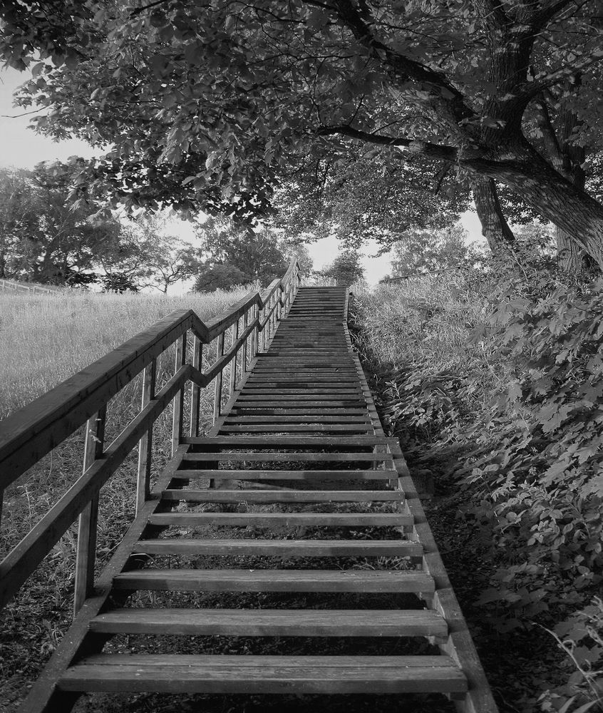 Фотография автора Панюшкин Владислав Владимирович