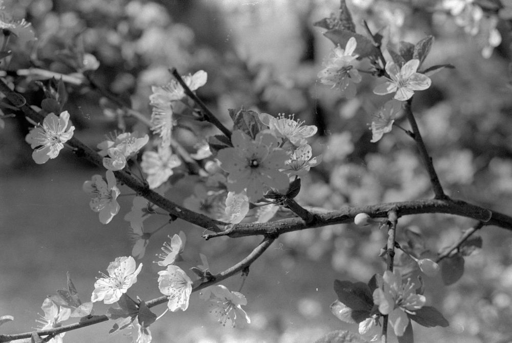Photo #12660729