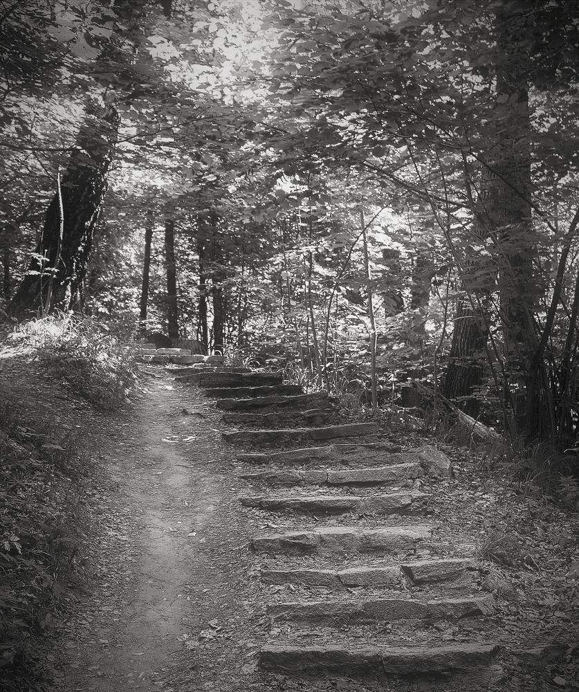 Фотография автора Панюшкин Владислав Владимирович