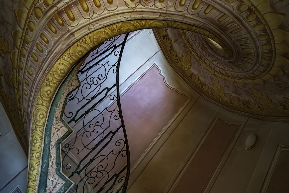 Photograph by Солодар Виктория