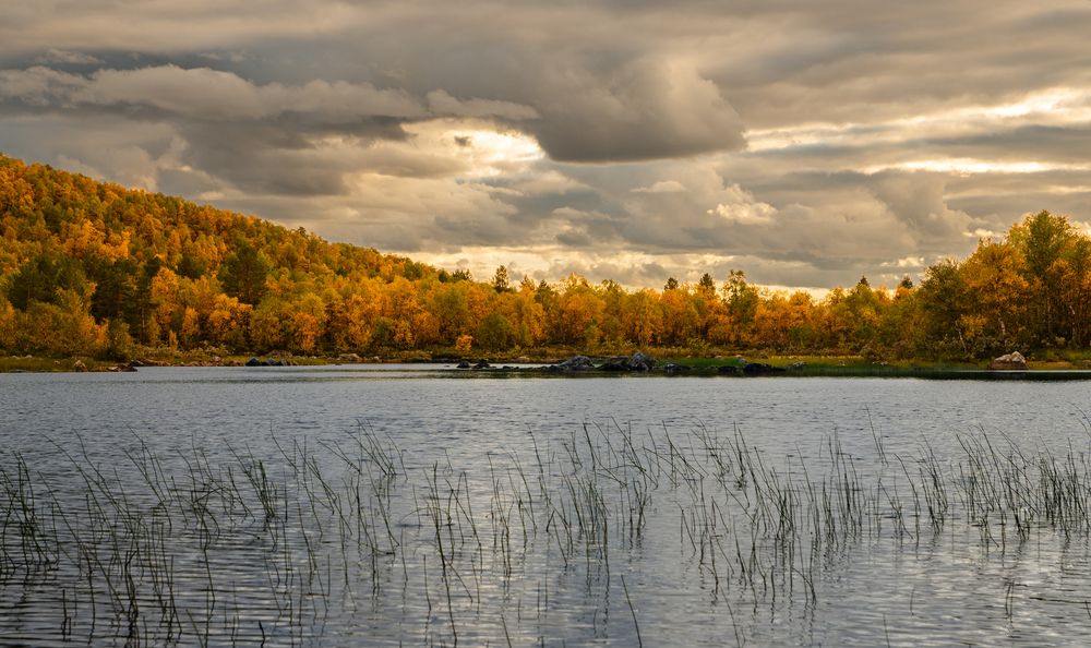 Photograph by Сергей Тютюнник