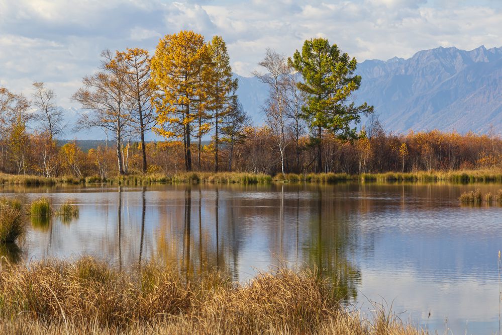 Photograph by Koledova Irina