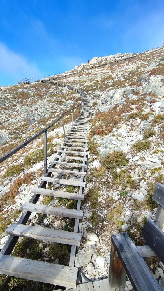 Photograph by Полина Скурская