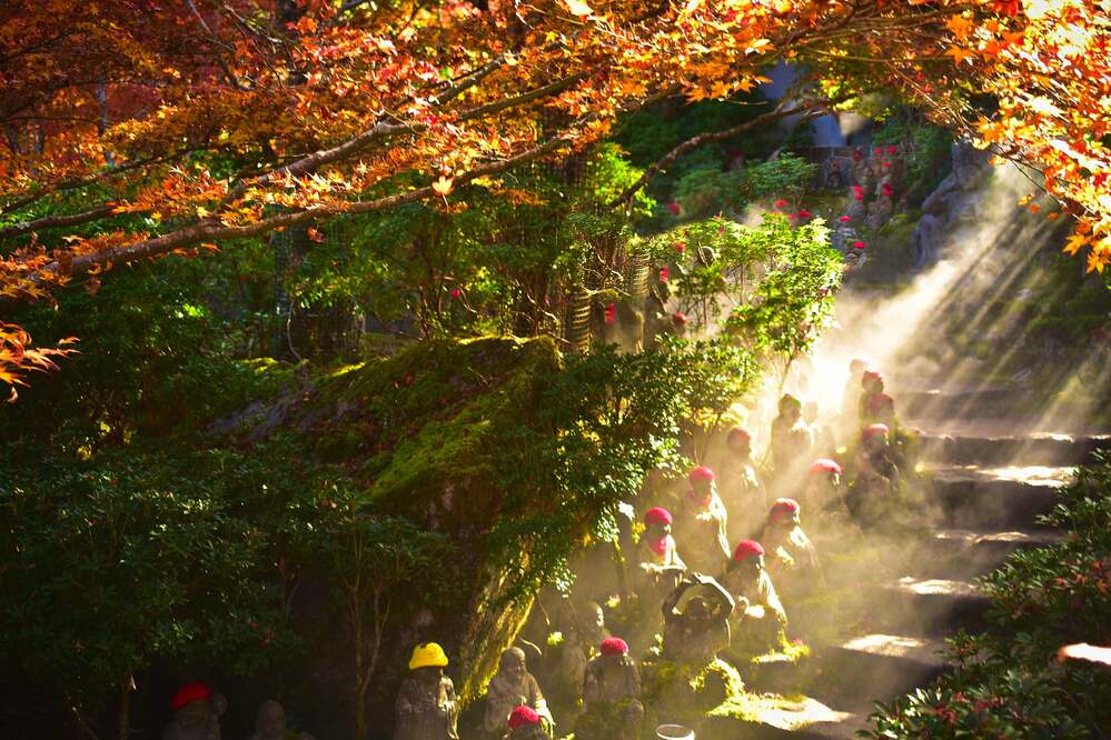 Фотография автора Sen Abhijit