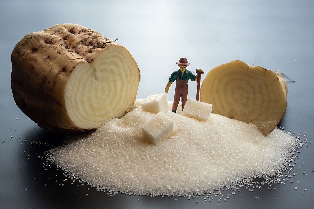 Фотография автора Валерий Бычков