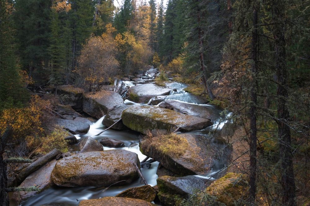 Photograph by Юдинских Марина