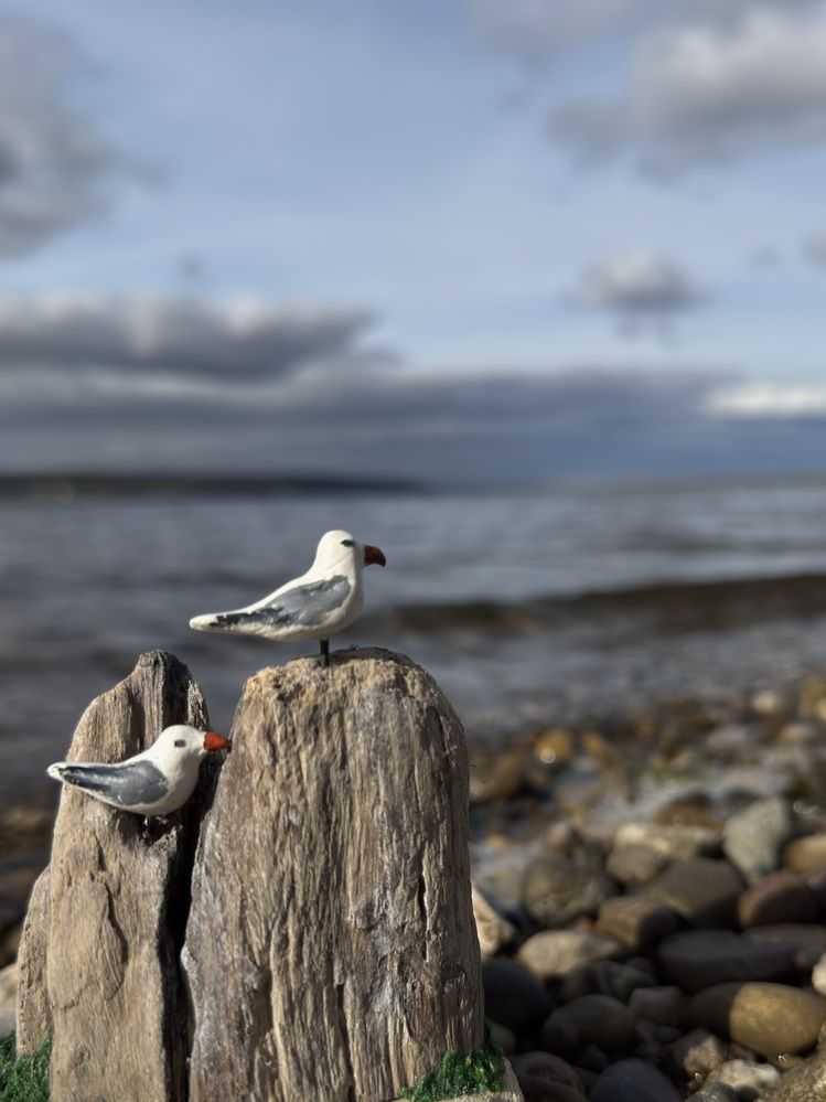 Photograph by Лилия Нуриева