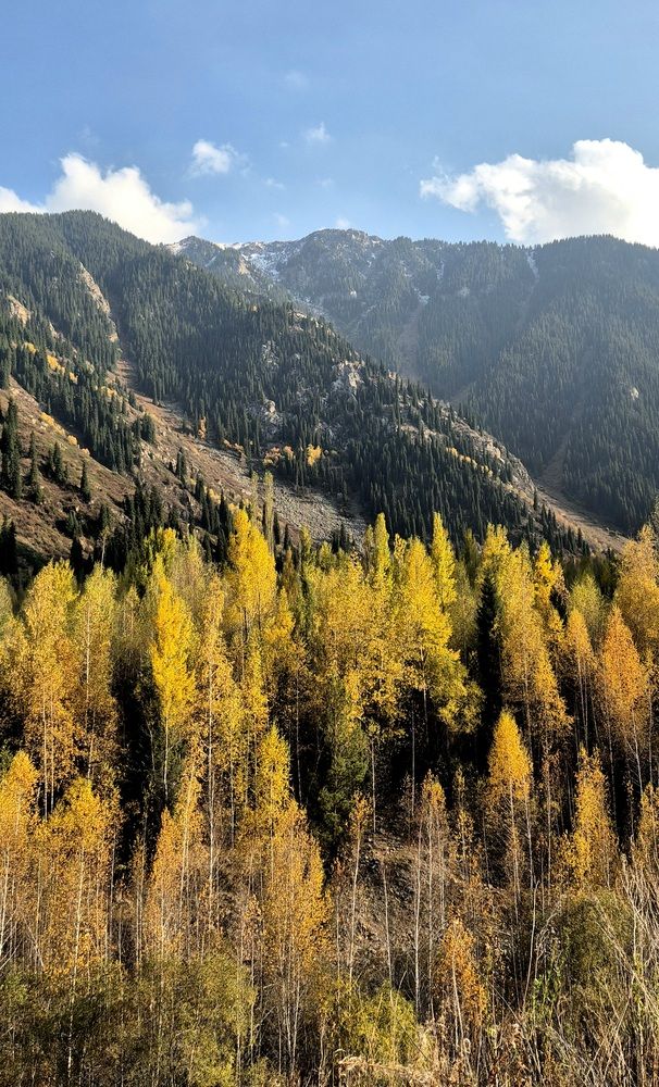 Photograph by Эльвира