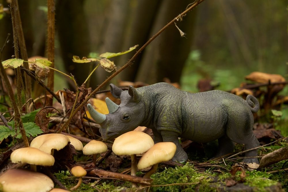 Photograph by Владимир