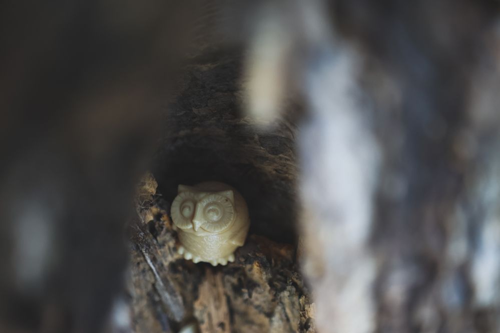 Photograph by Евгения Сенченко
