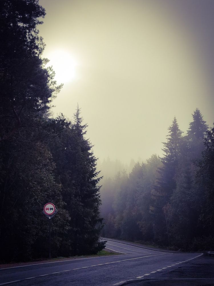 Photo #12661152