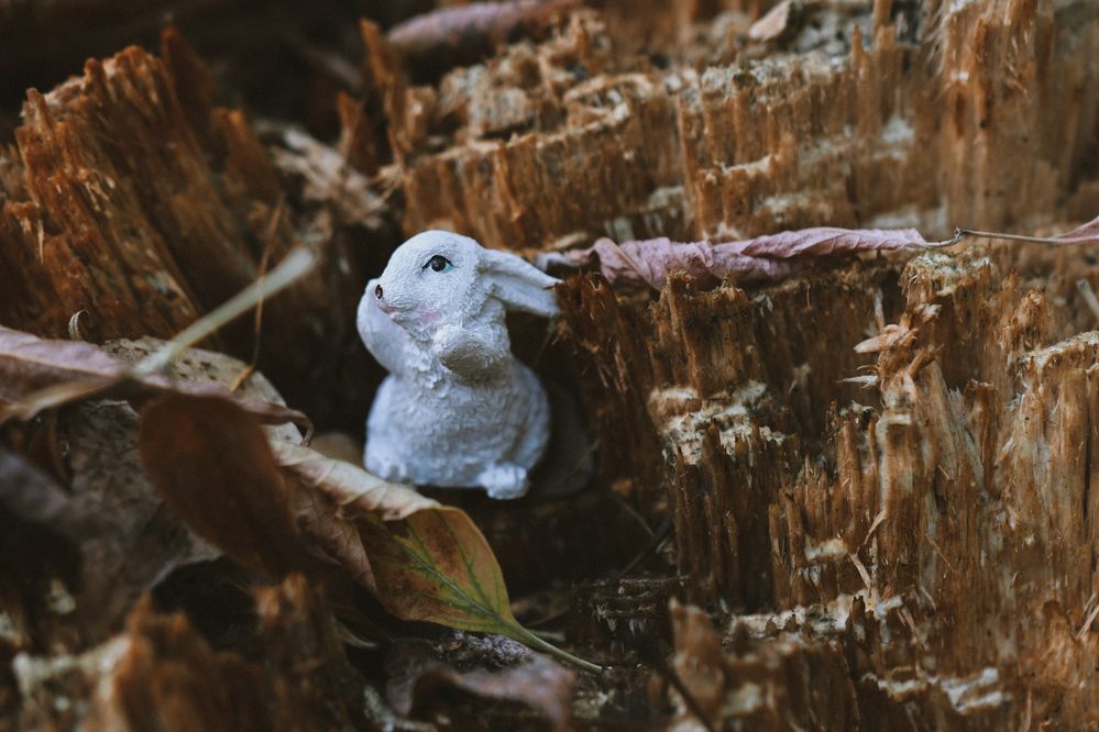 Photograph by Евгения Сенченко
