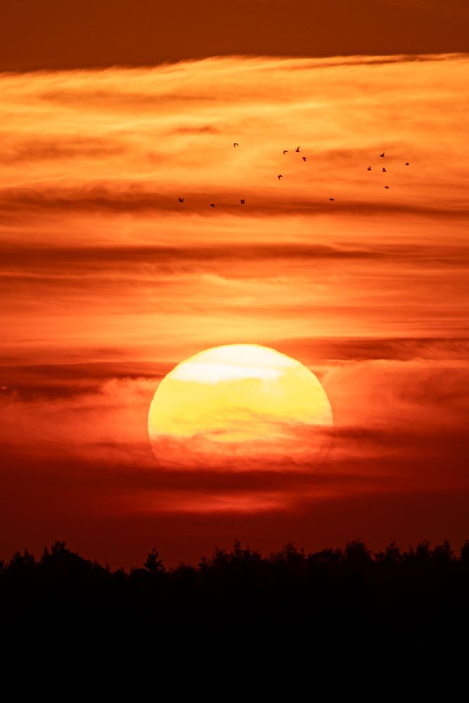 Photograph by Алексей Поликарпов