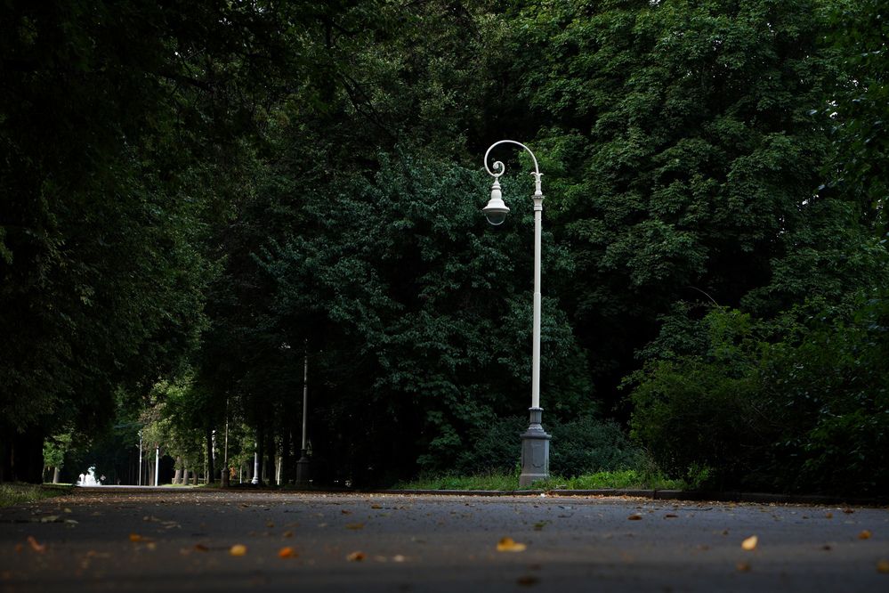 Photograph by Юлия Береговая