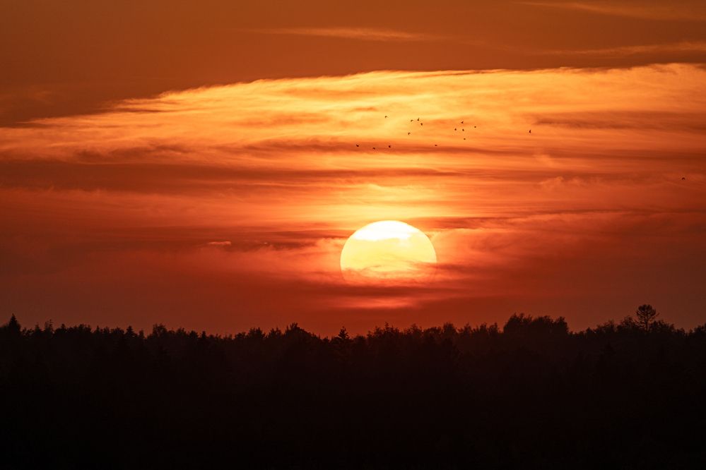 Photograph by Алексей Поликарпов