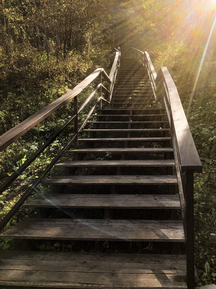 Фотография автора Светлана Гончарова