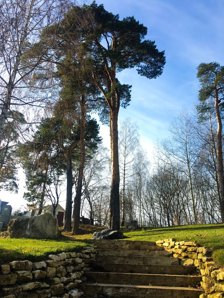 Photograph by Елизавета Большакова