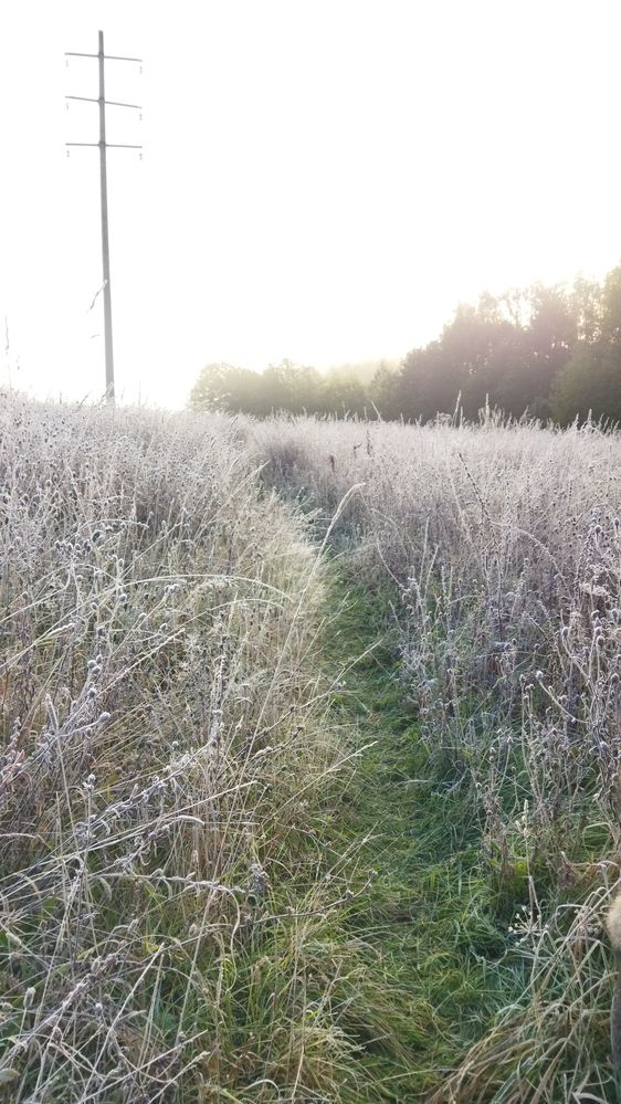 Photograph by Юлия