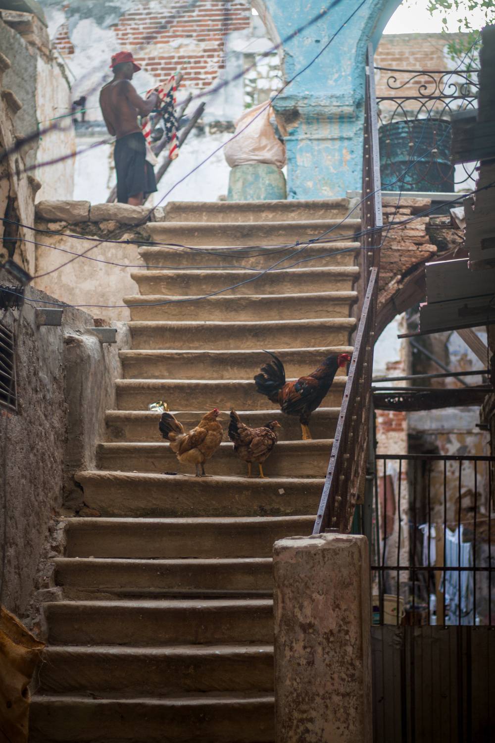 Фотография #12661453