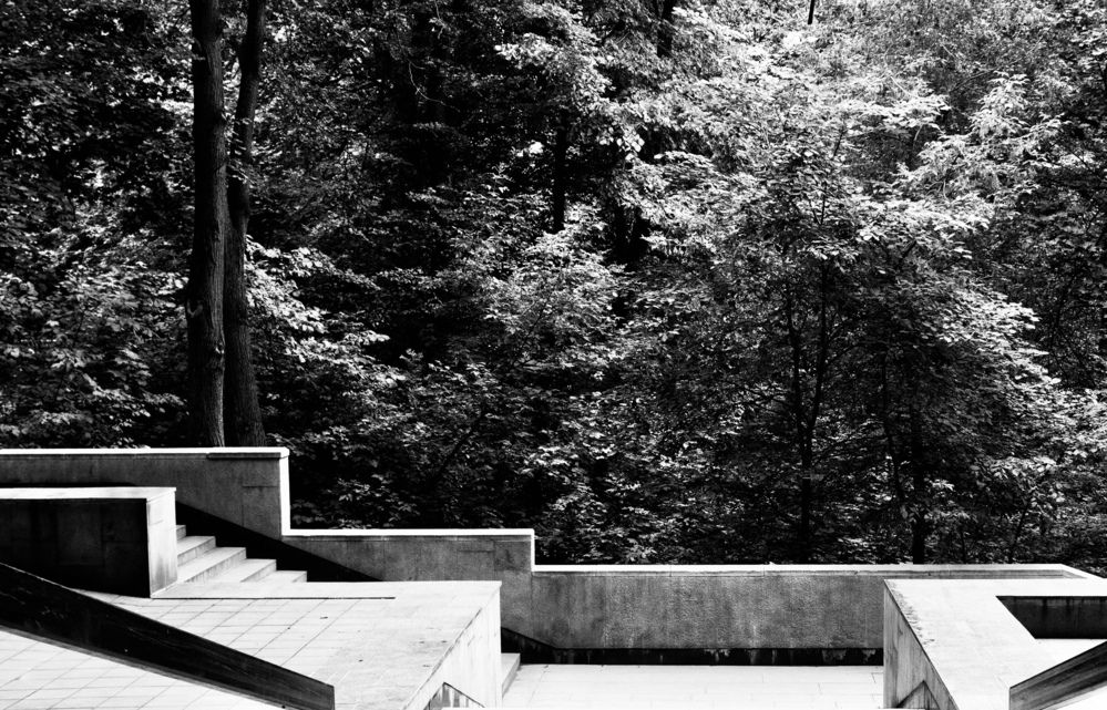 Photograph by Сюзанна