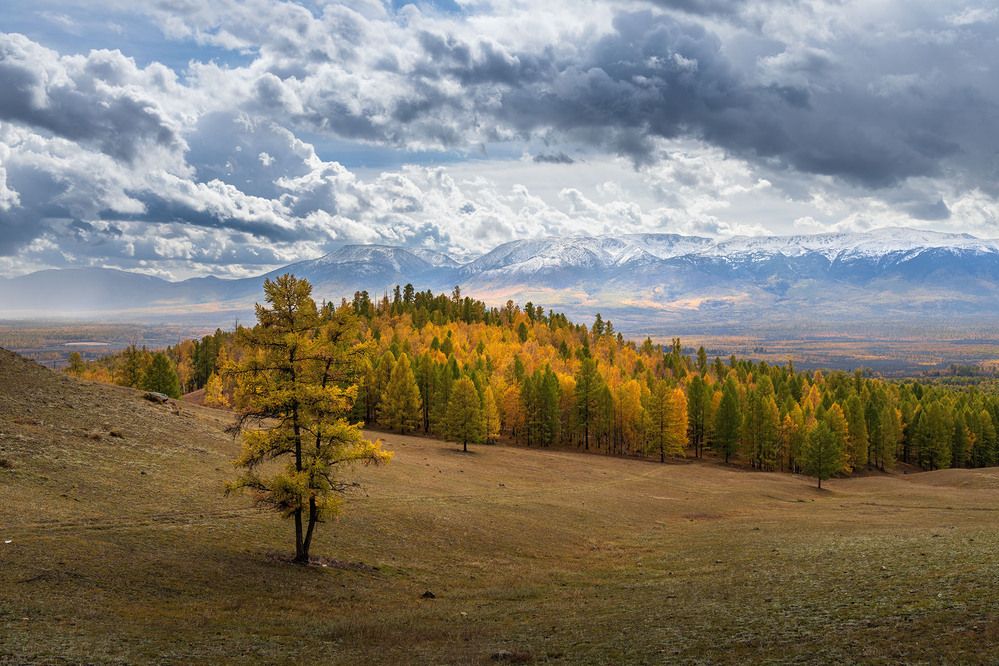 Хову-Аксы Республика Тыва
