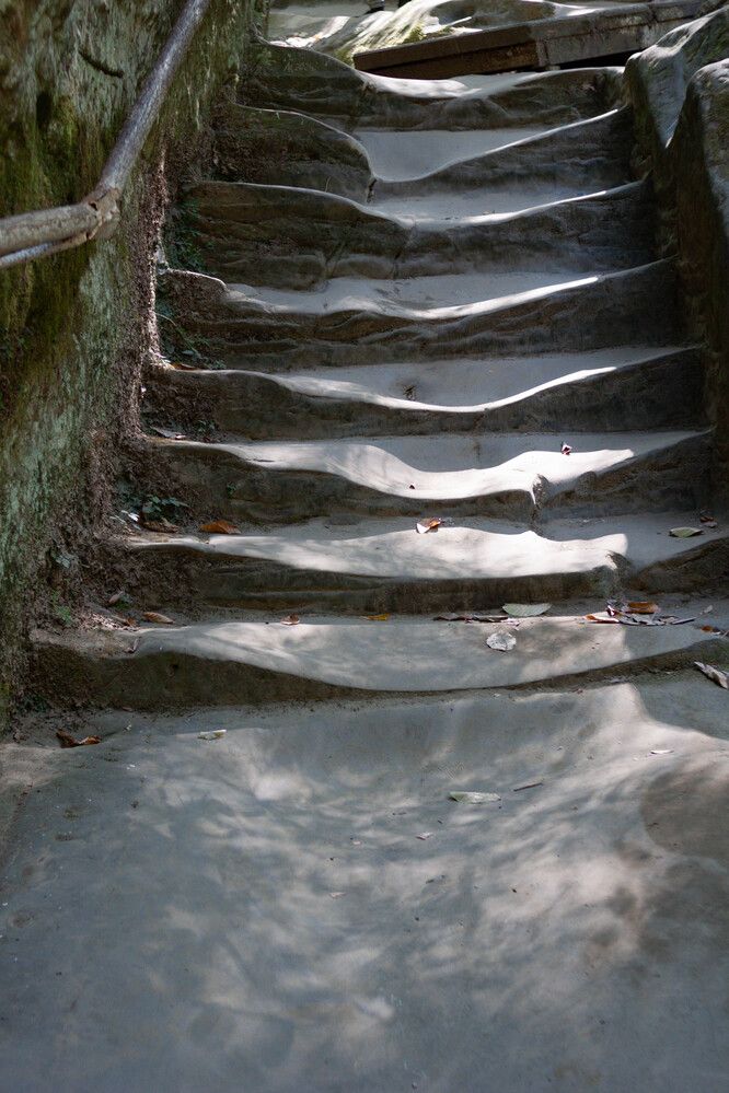 Photograph by Елена Казаренко