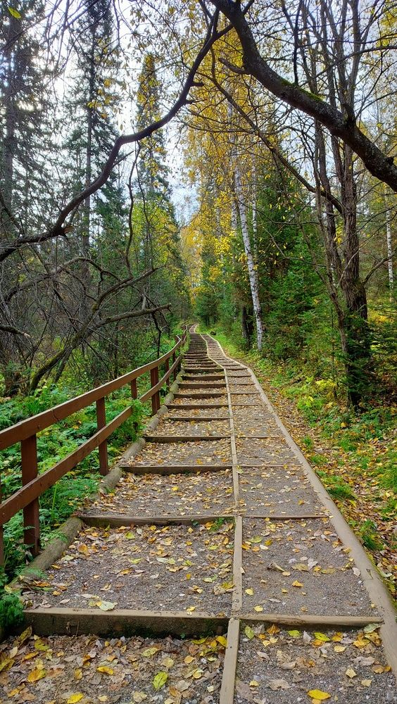 Photograph by Анастасия Горбачева