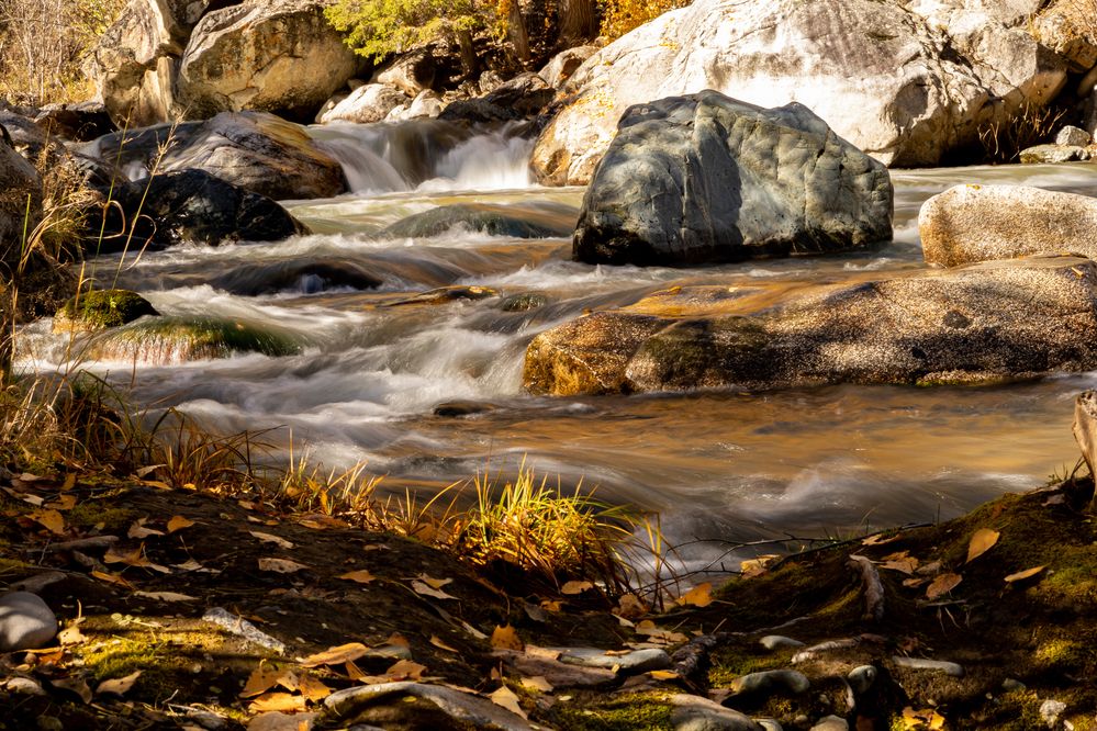 Photograph by Анна Оськина