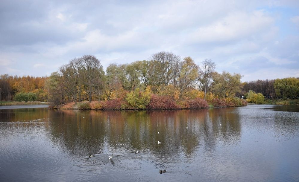 Photograph by Антонина Шабышева