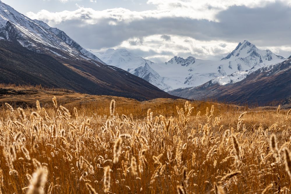 Photograph by Анна Оськина