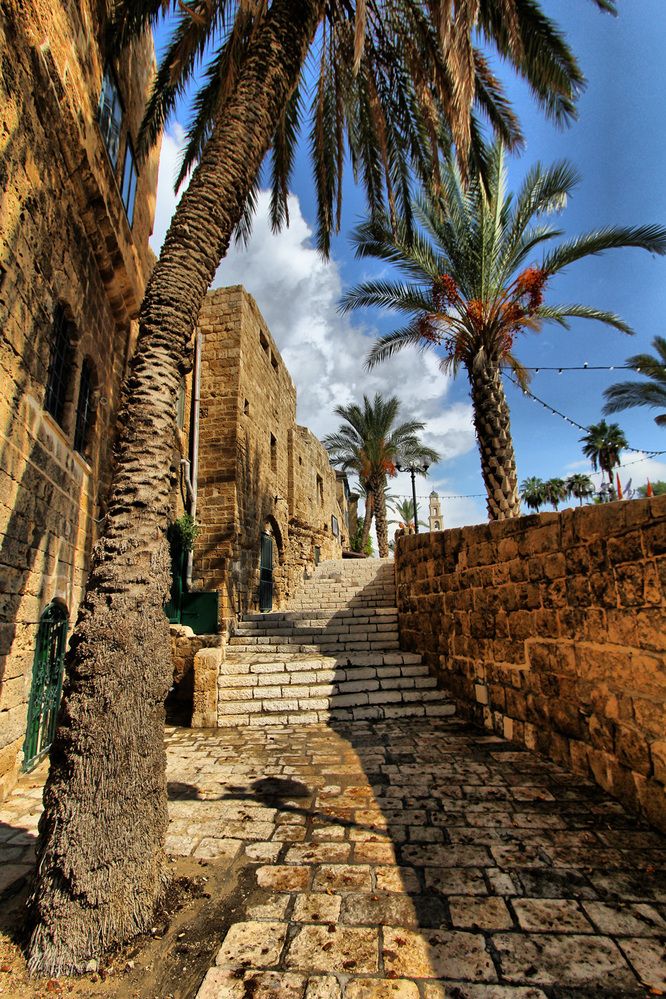 Фотография автора Nikolay Tatarchuk