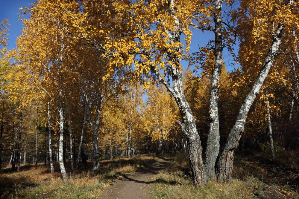 Фотография автора Кухта Мария