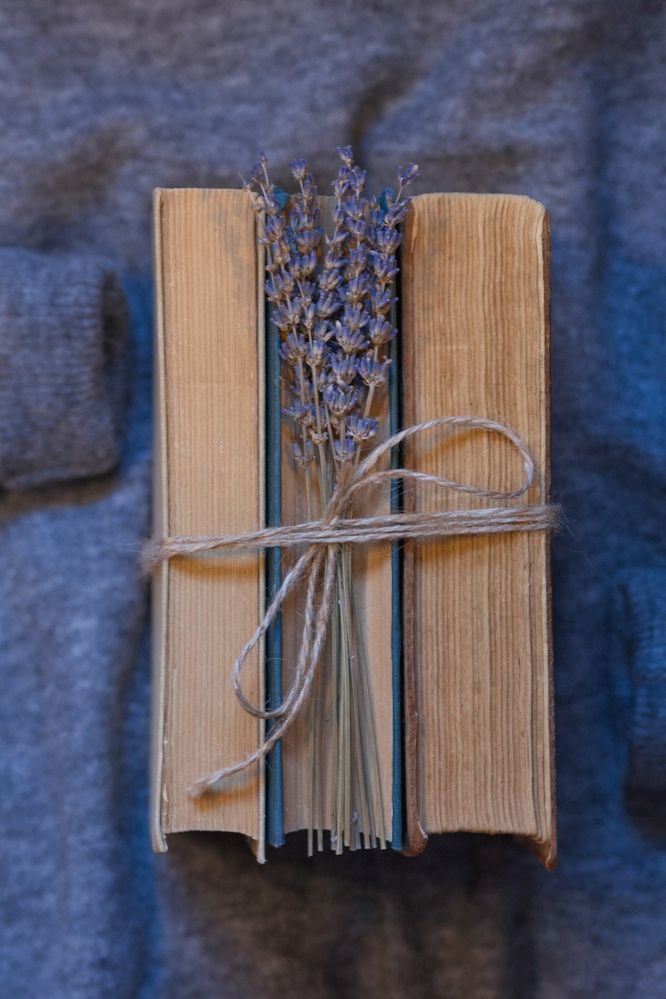 Фотография автора Лариса Видинеева