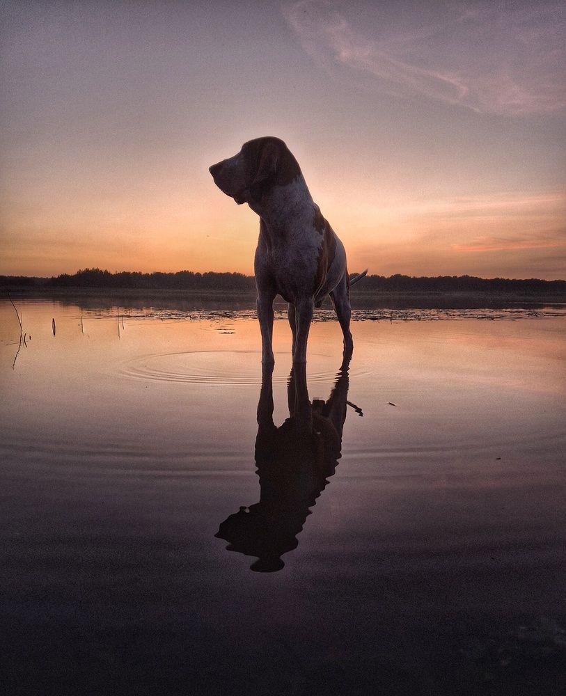 Photo #12661703