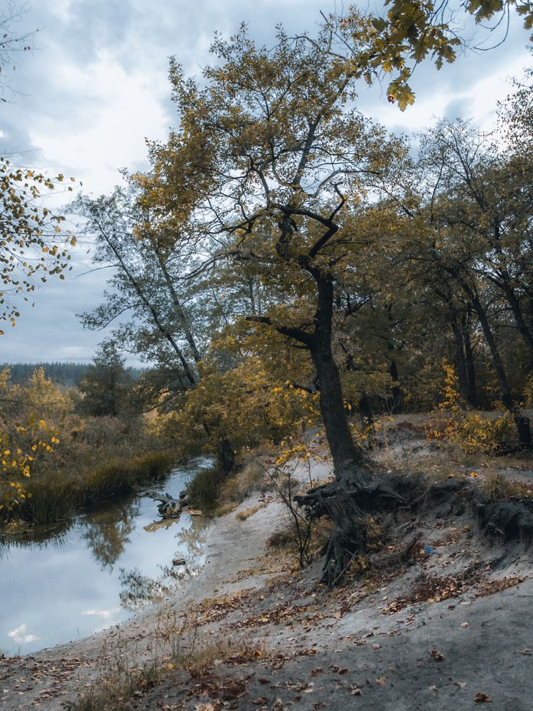 Фотография автора Елена Чиликина