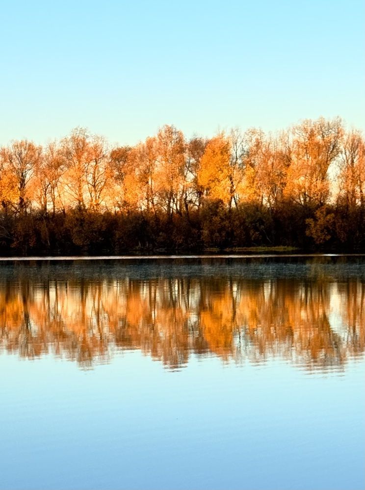 Фотография автора Галина Шиманцова