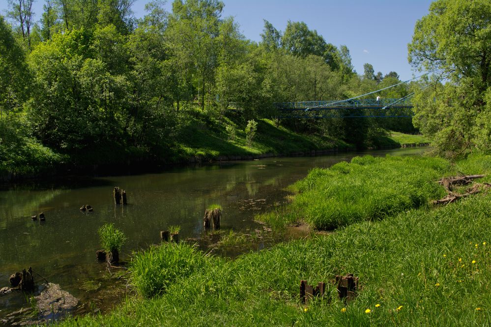 Photograph by Александра