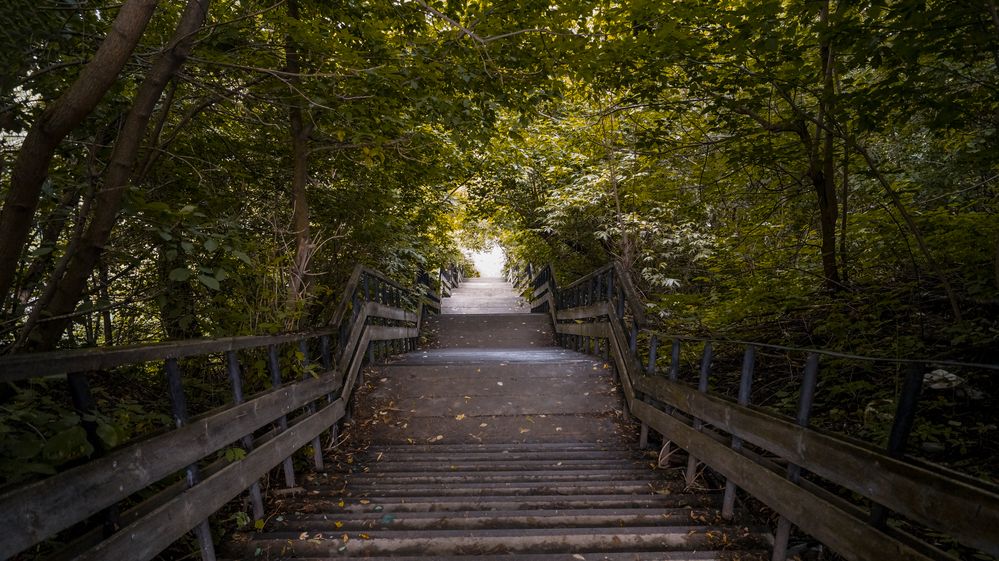 Photograph by Сушкевич Светлана