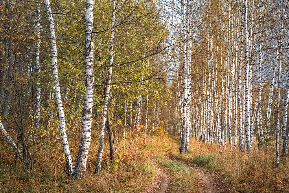 Photograph by Людмила Завьялова