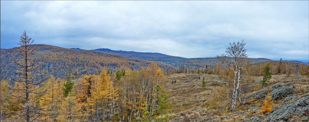 Photograph by Анатолий Пермяков