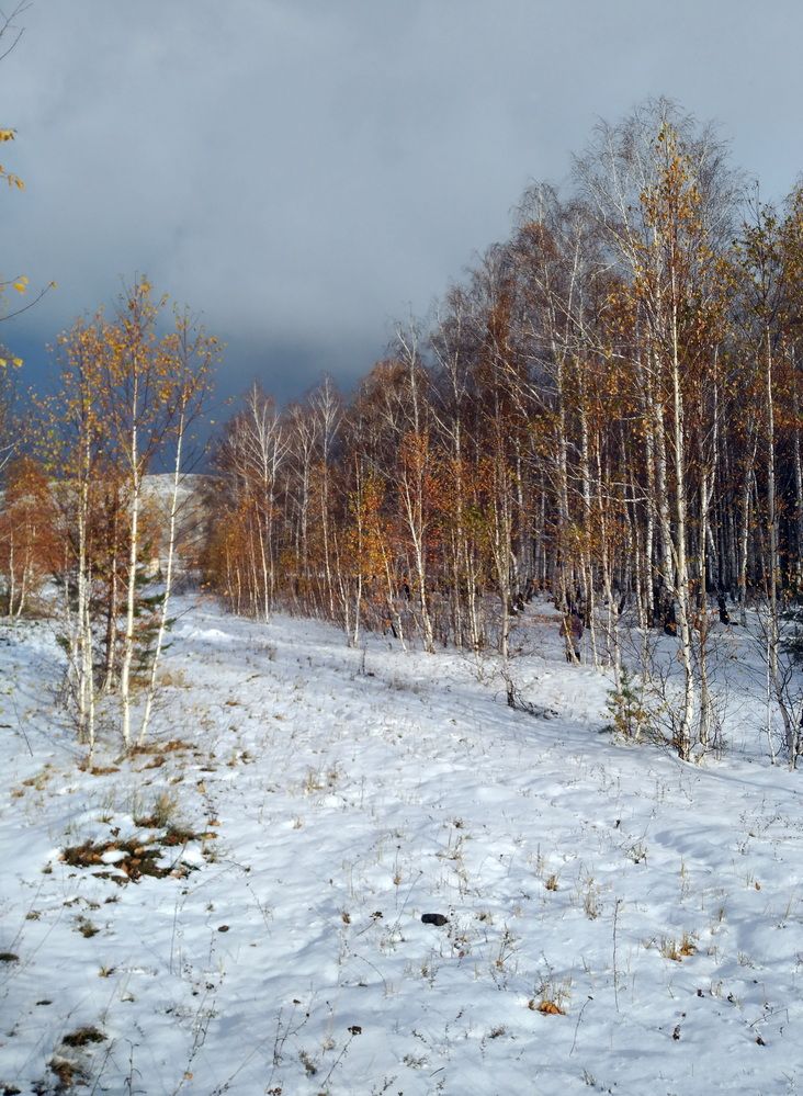 Photograph by Анатолий Пермяков