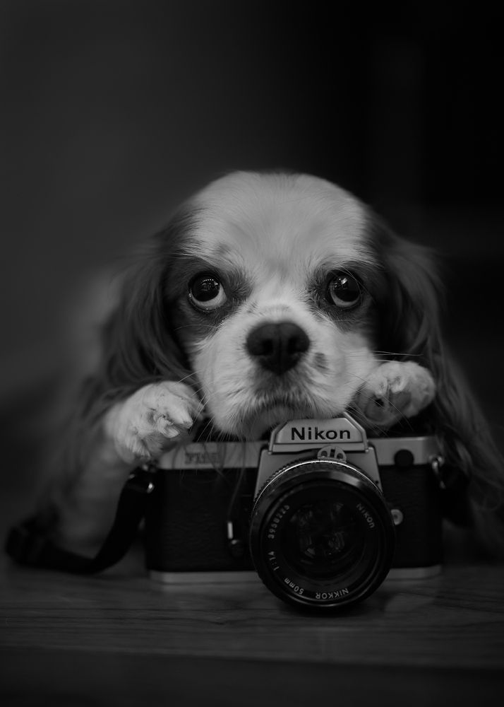 Фотография автора Kaisyakuji Yushi