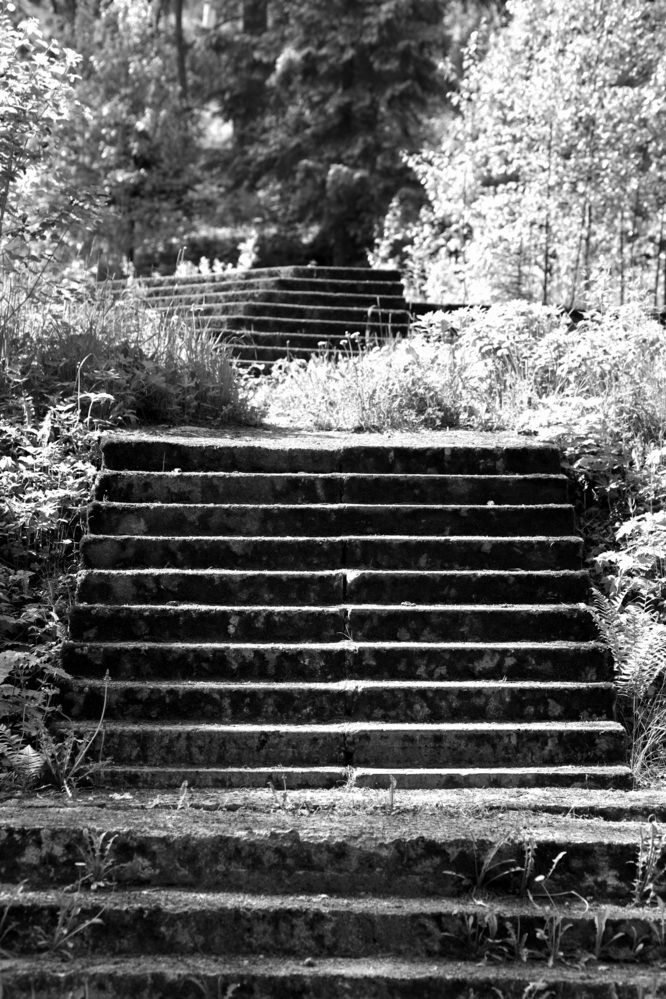 Photograph by Оксана Серёгина