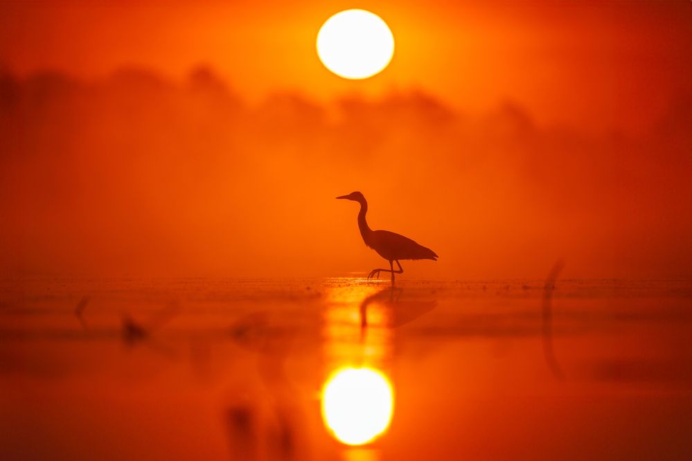 Фотография автора Patryk Kurc