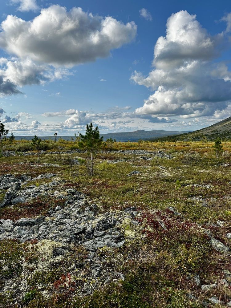 Photograph by Svetlana Rashidova