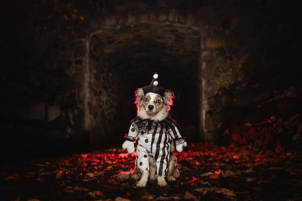 Photograph by Chantal Levesque