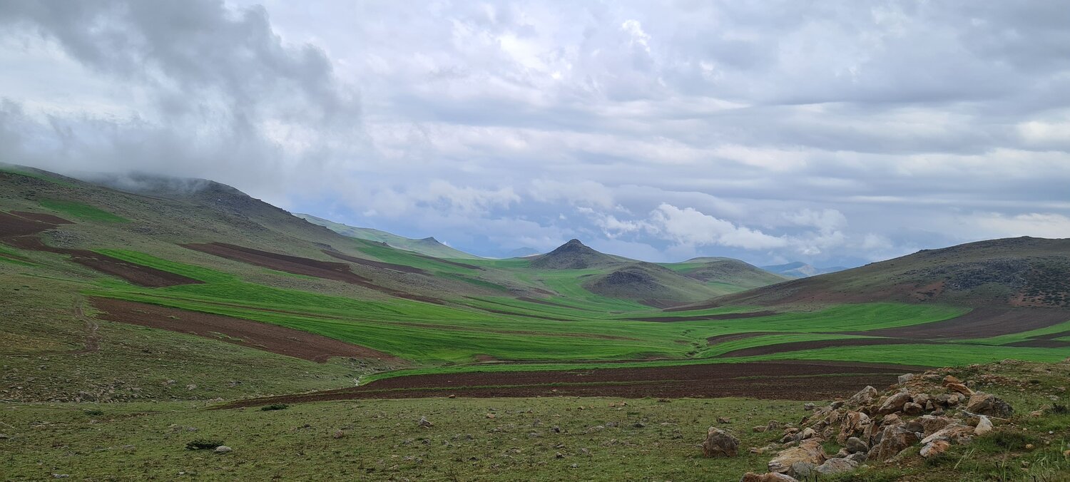 Photo #12662072