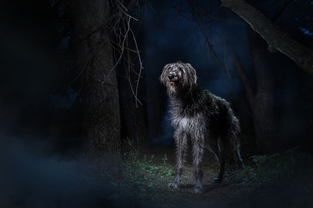 Photograph by Chantal Levesque