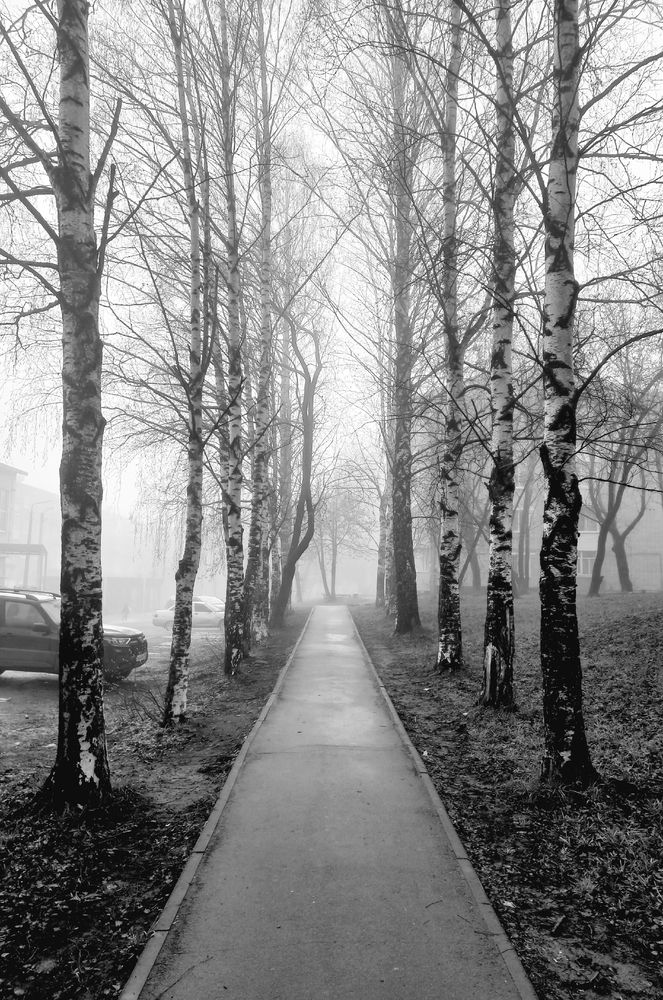Photograph by Дана Турсунова